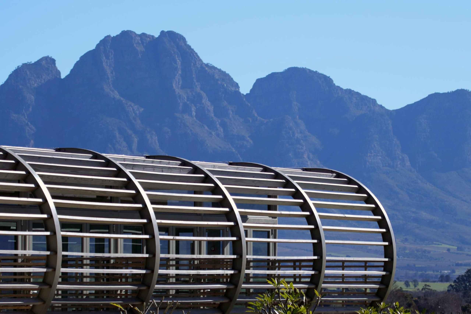 Drie wijnstreken van de Kaap: privétour met wijnmaker.