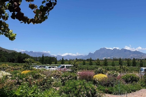 Drie wijnstreken van de Kaap: privétour met wijnmaker.