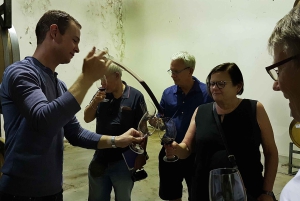 Drie wijnstreken van de Kaap: privétour met wijnmaker.