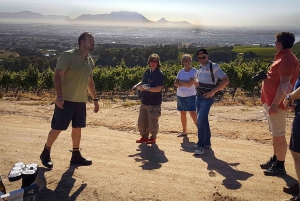 Drie wijnstreken van de Kaap: privétour met wijnmaker.