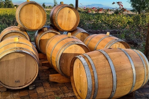 Drie wijnstreken van de Kaap: privétour met wijnmaker.