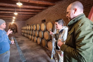 Drie wijnstreken van de Kaap: privétour met wijnmaker.