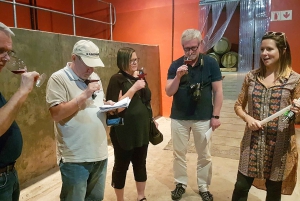 Drie wijnstreken van de Kaap: privétour met wijnmaker.