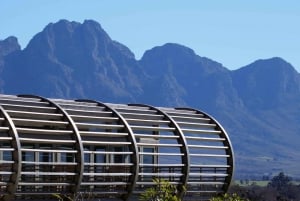 Die drei Weinanbaugebiete am Kap: Private Tour mit Winzer.