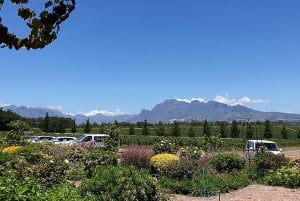 Die drei Weinanbaugebiete am Kap: Private Tour mit Winzer.