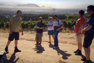 Die drei Weinanbaugebiete am Kap: Private Tour mit Winzer.