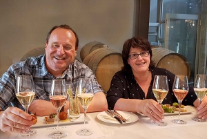 Die drei Weinanbaugebiete am Kap: Private Tour mit Winzer.