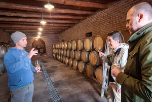 Die drei Weinanbaugebiete am Kap: Private Tour mit Winzer.