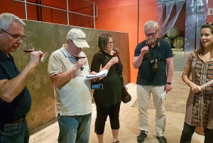 Die drei Weinanbaugebiete am Kap: Private Tour mit Winzer.