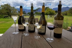 From Cape Town: 2-Day Guided Private Tour to 3 Wine Regions