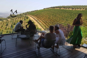 From Cape Town: 2-Day Guided Private Tour to 3 Wine Regions