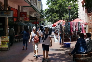 Cidade do Cabo: Excursão a pé particular com guia que fala sueco
