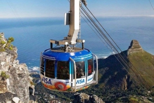 テーブルマウンテンとライオンズヘッドの観光と豊かな文化