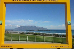 テーブルマウンテンとライオンズヘッドの観光と豊かな文化