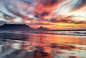 Rundtur på Taffelbjerget og Løvehovedet og dets rige kultur