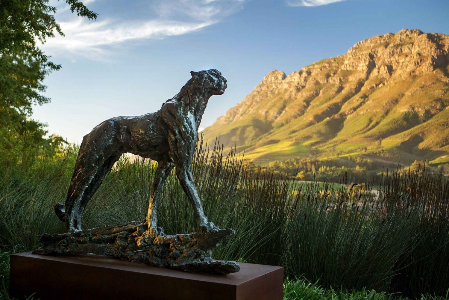 Visitez les vignobles : De Stellenbosch à Franschhoek