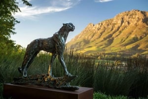 Visitez les vignobles : De Stellenbosch à Franschhoek