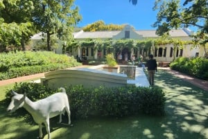 Visitez les vignobles : De Stellenbosch à Franschhoek