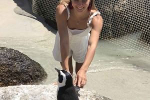 Ture fra Cape Town: Ture til pingvinerne og Kap Det Gode Håb