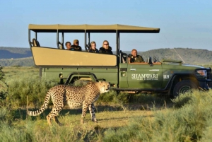 Tours, Safaris and Charters