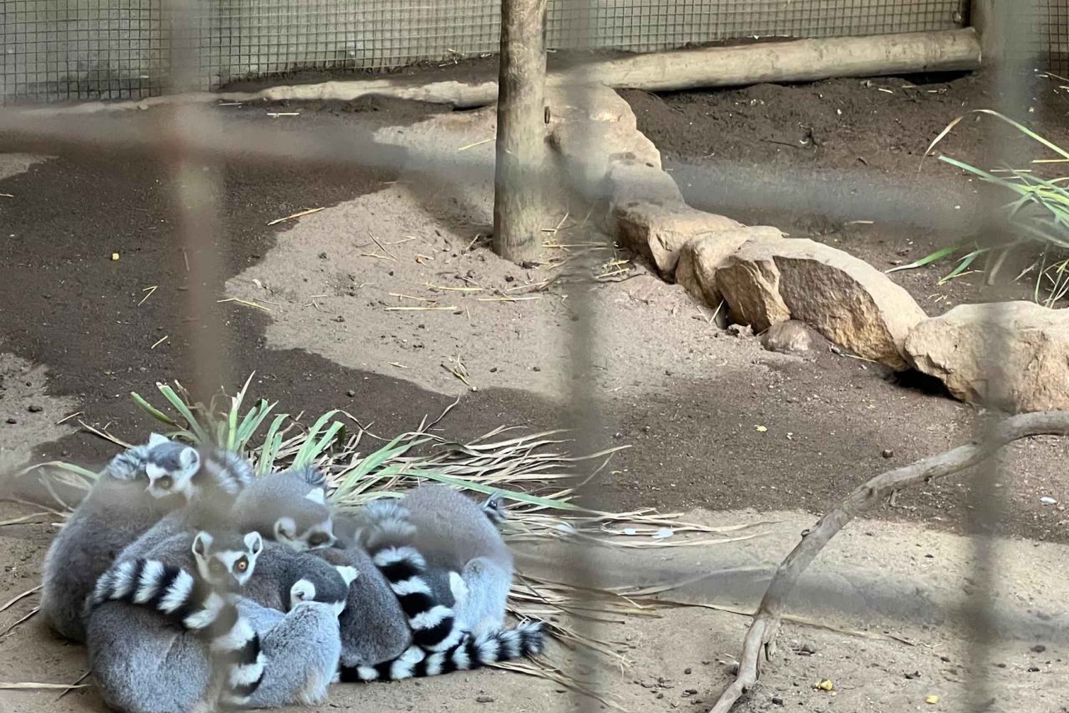 Two Oceans Aquarium World Birds och vinprovning