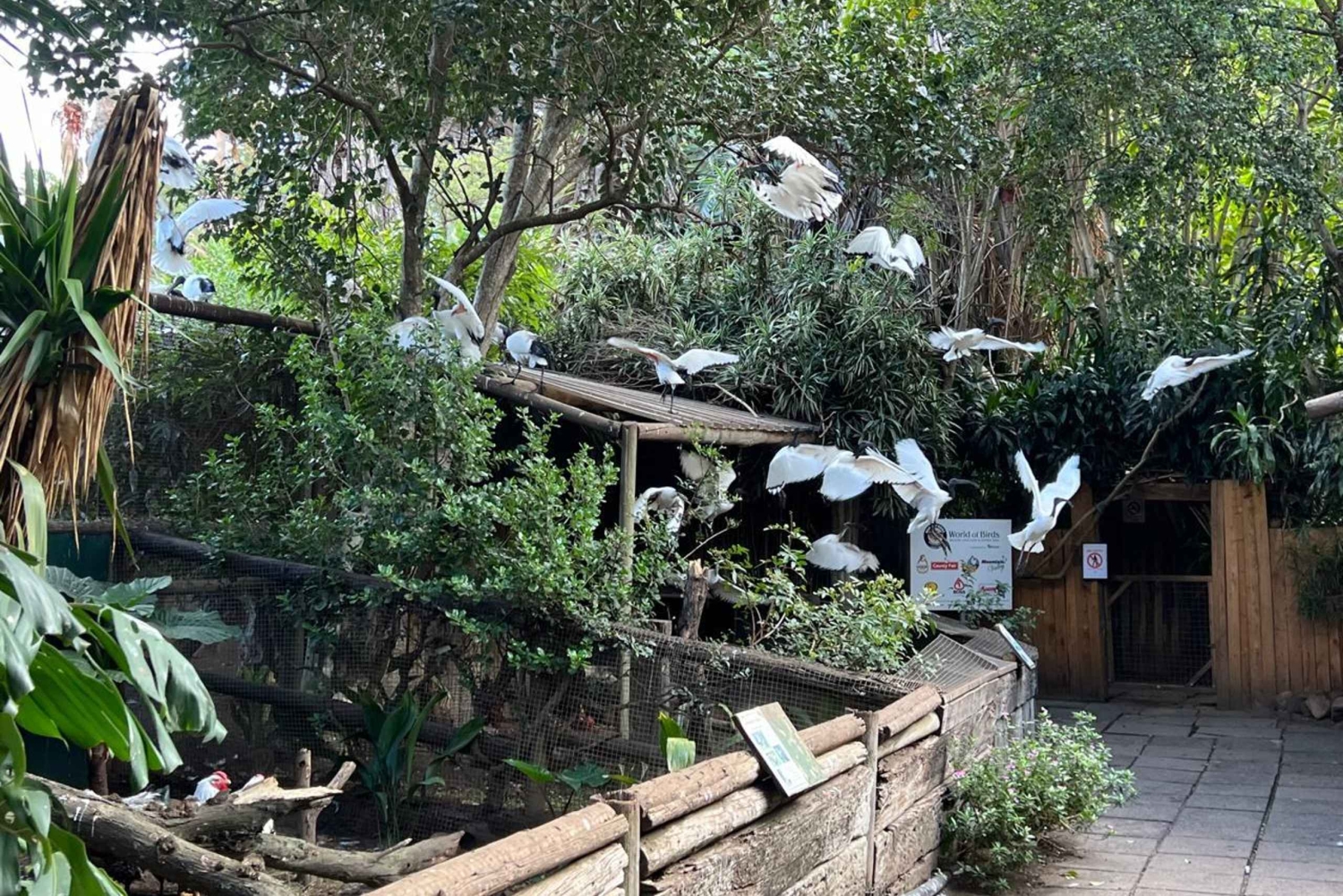 Two Oceans Aquarium World Birds och vinprovning