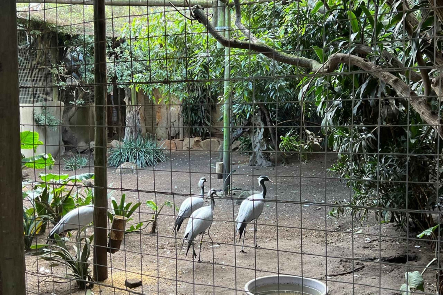 Two Oceans Aquarium World Birds och vinprovning