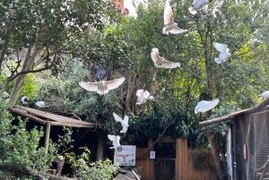 Two Oceans Aquarium World Birds och vinprovning