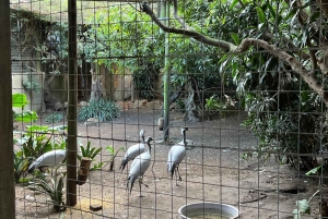 Two Oceans Aquarium World Birds och vinprovning