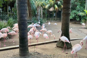 Two Oceans Aquarium World Birds och vinprovning