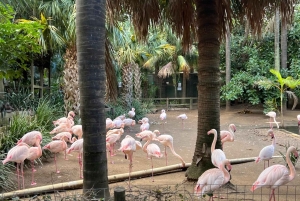 Two Oceans Aquarium World Birds och vinprovning