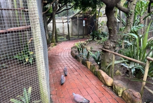 Two Oceans Aquarium World Birds och vinprovning