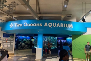 Two Oceans Aquarium World Birds och vinprovning