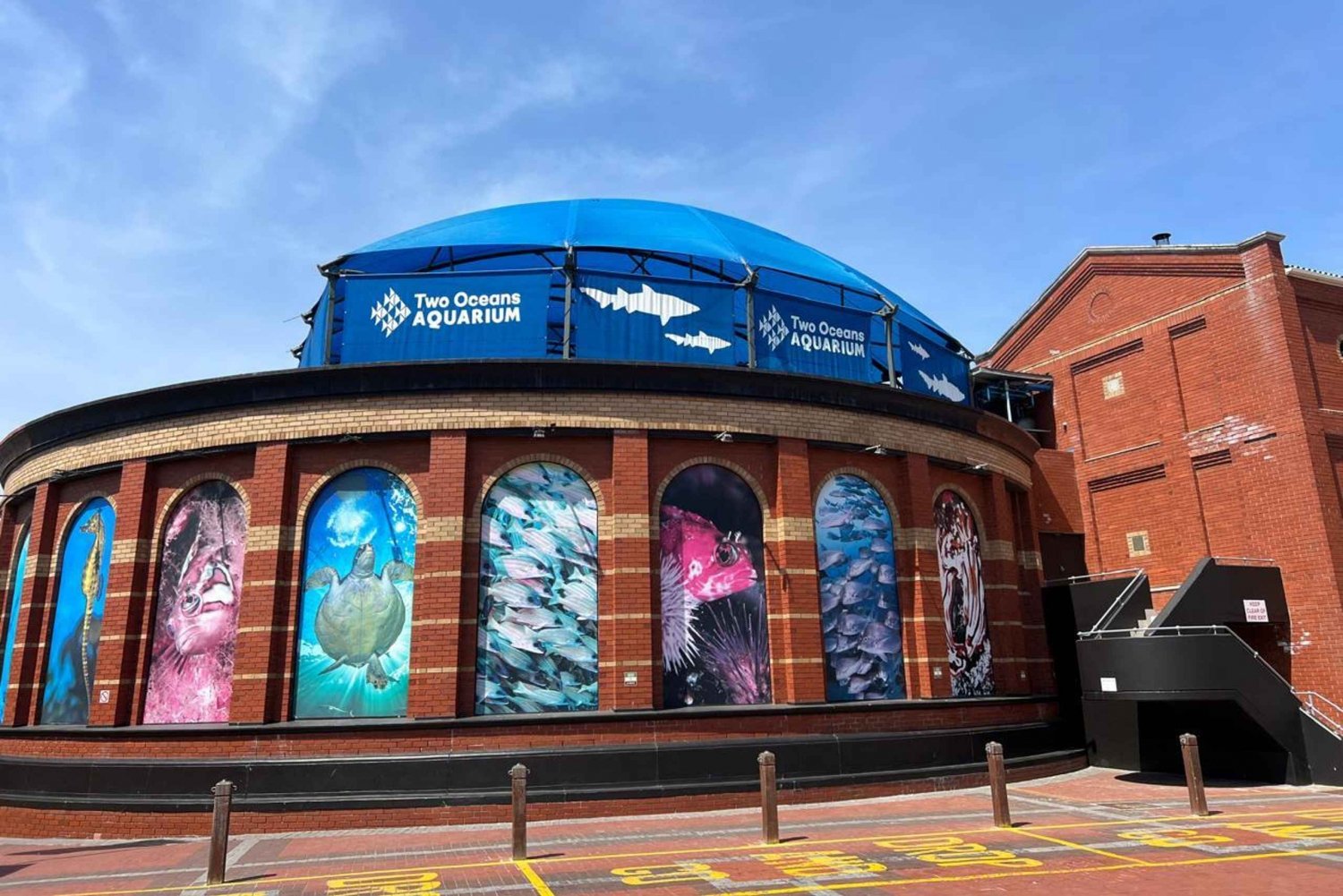 Two Oceans Aquarium World Birds & Wine Tasting Private Tour