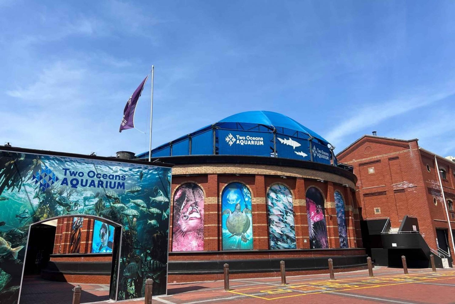 Tour privato dell'Acquario dei due oceani e della degustazione di vini