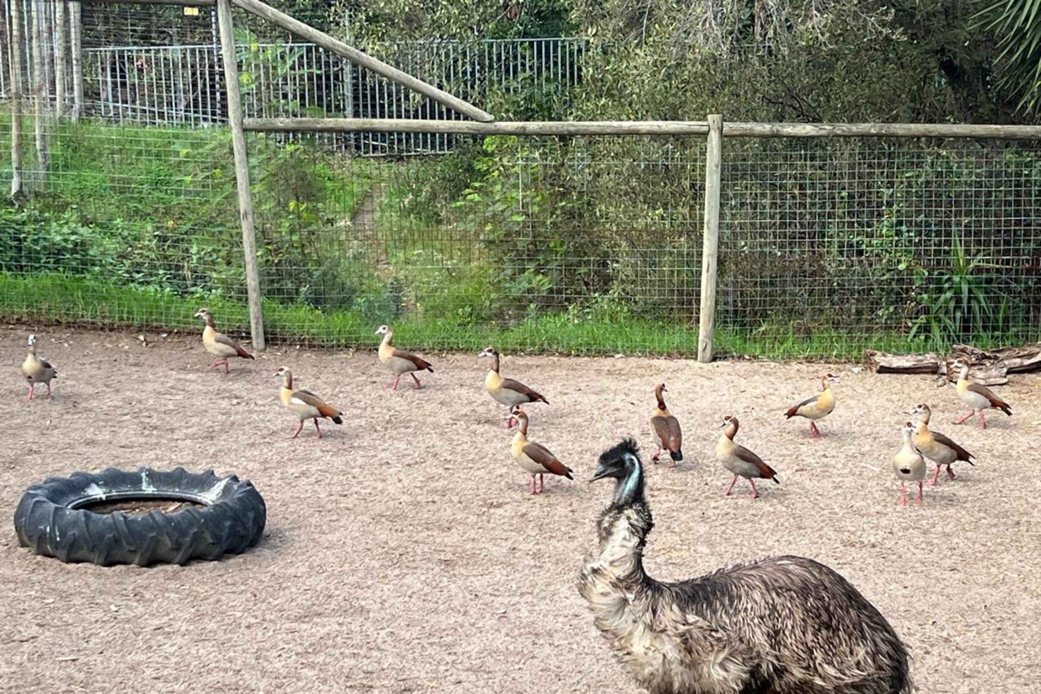 Two Oceans Aquarium World Birds & Wine Tasting Wycieczka prywatna