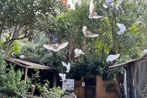 Two Oceans Aquarium World Birds and Wine Tasting Tour