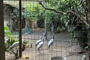Two Oceans Aquarium World Birds and Wine Tasting Tour