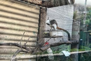 Two Oceans Aquarium World Birds and Wine Tasting Tour