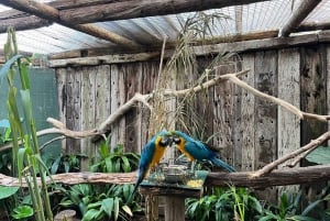 Two Oceans Aquarium World Birds and Wine Tasting Tour