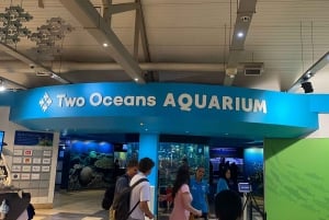 Two Oceans Aquarium World Birds and Wine Tasting Tour