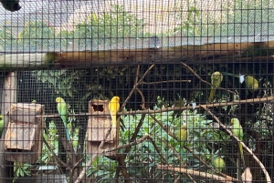 Two Oceans Aquarium World Birds & Wine Tasting Wycieczka prywatna