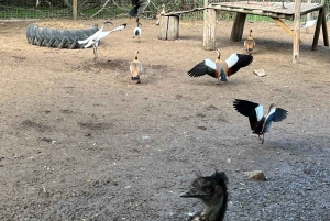 Two Oceans Aquarium World Birds & Wine Tasting Wycieczka prywatna