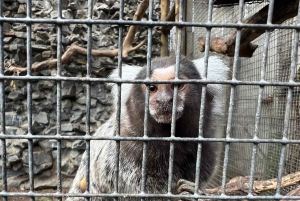 Two Oceans Aquarium World Birds & Wine Tasting Wycieczka prywatna