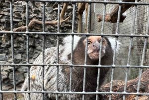 Two Oceans Aquarium World Birds & Wine Tasting Wycieczka prywatna