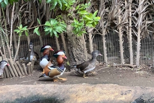 Two Oceans Aquarium World Birds & Wine Tasting Wycieczka prywatna