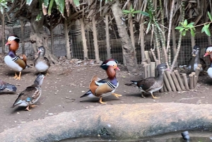 Two Oceans Aquarium World Birds & Wine Tasting Wycieczka prywatna