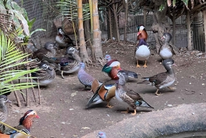 Two Oceans Aquarium World Birds & Wine Tasting Wycieczka prywatna