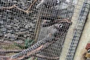 Two Oceans Aquarium World Birds & Wine Tasting Wycieczka prywatna