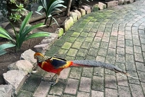 Two Oceans Aquarium World Birds & Wine Tasting Wycieczka prywatna